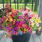 12 Bundles Artificial Flowers for Outdoors, UV Resistant Fake Outdoor Flowers No Fade Faux Outdoor Flowers Plants for Garden Porch Window Box Farmhouse Pot Planters Decor (Multi ColorA)